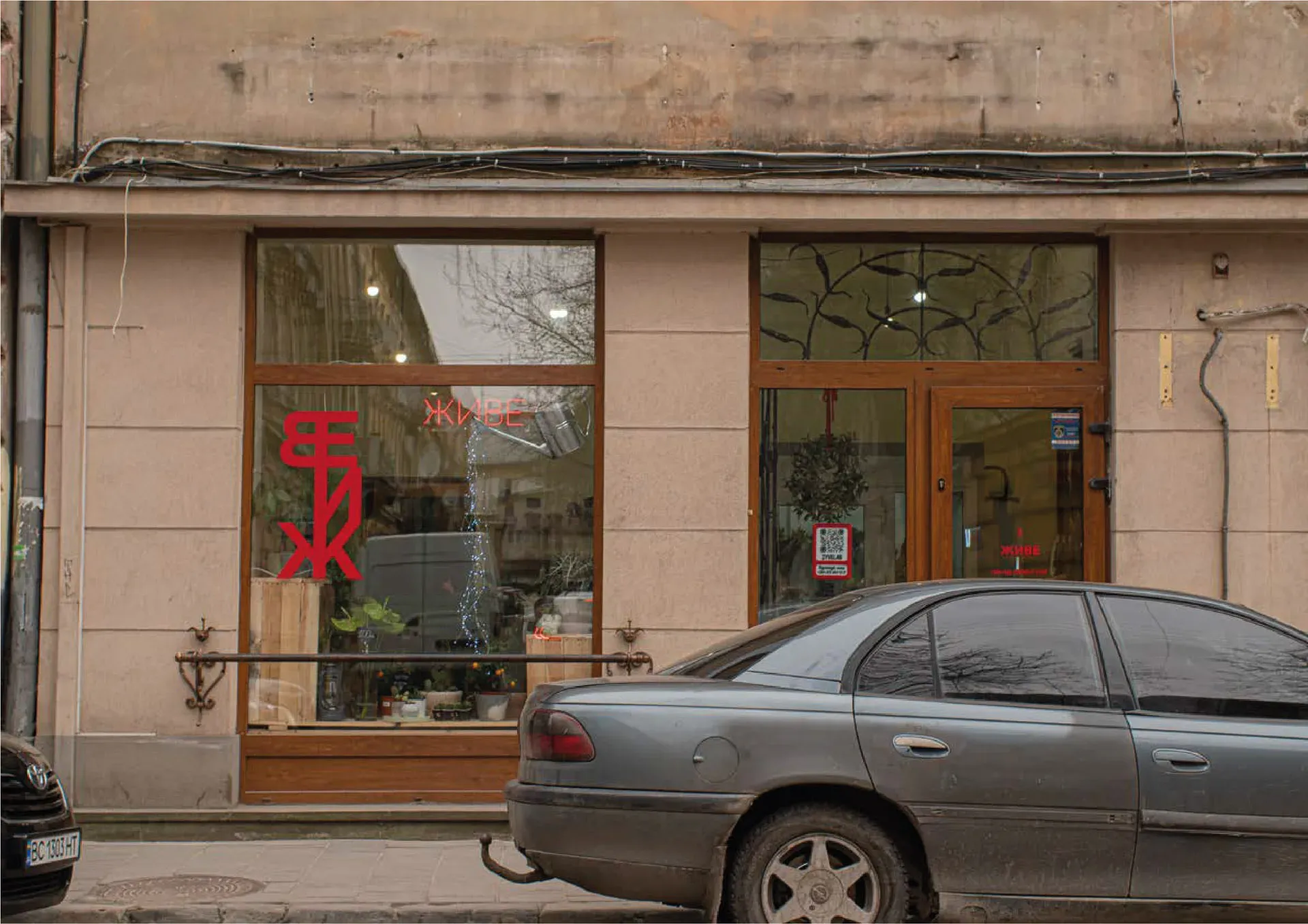 ZYVE Botanical Lab
