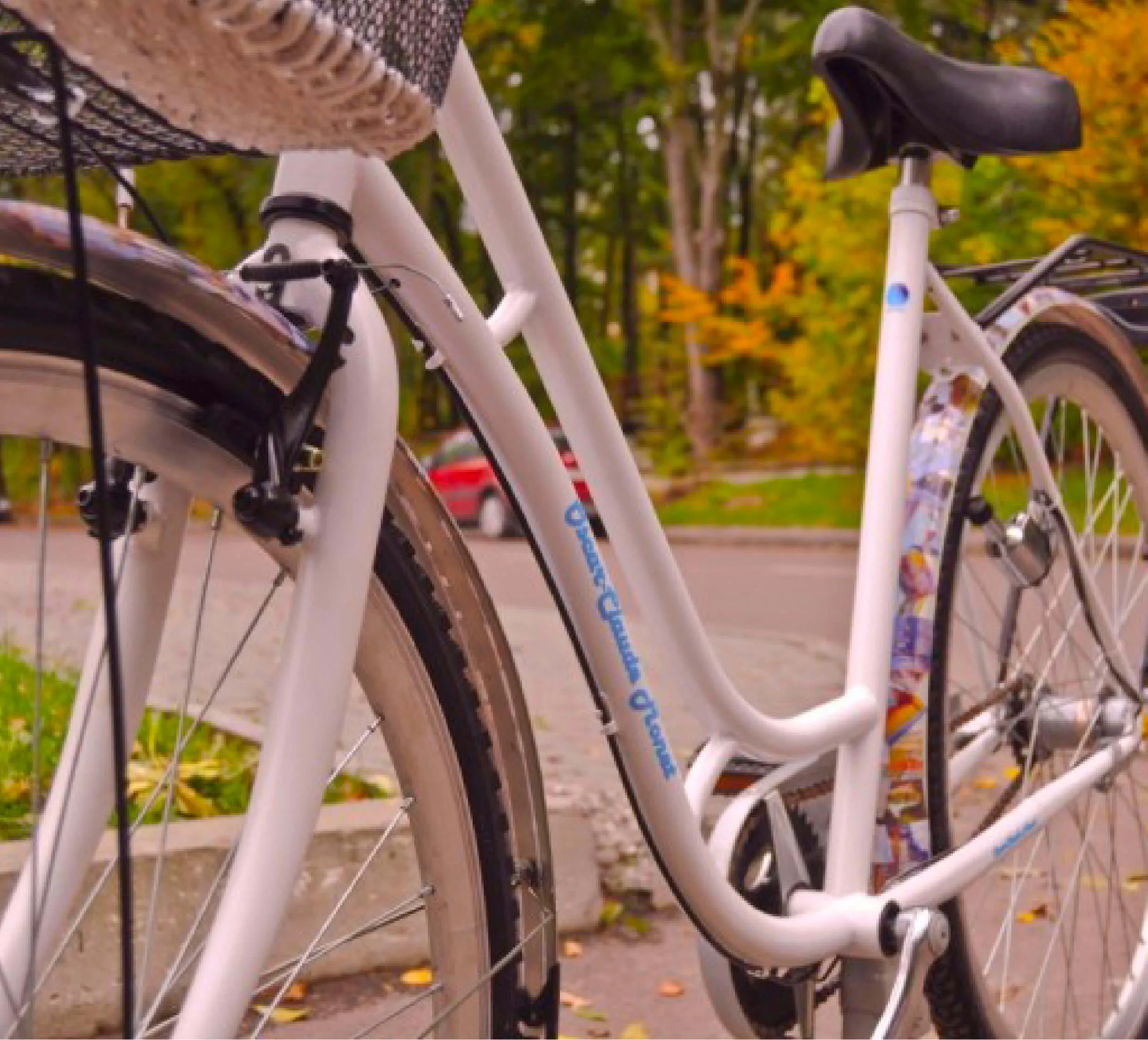 Bike Monet
