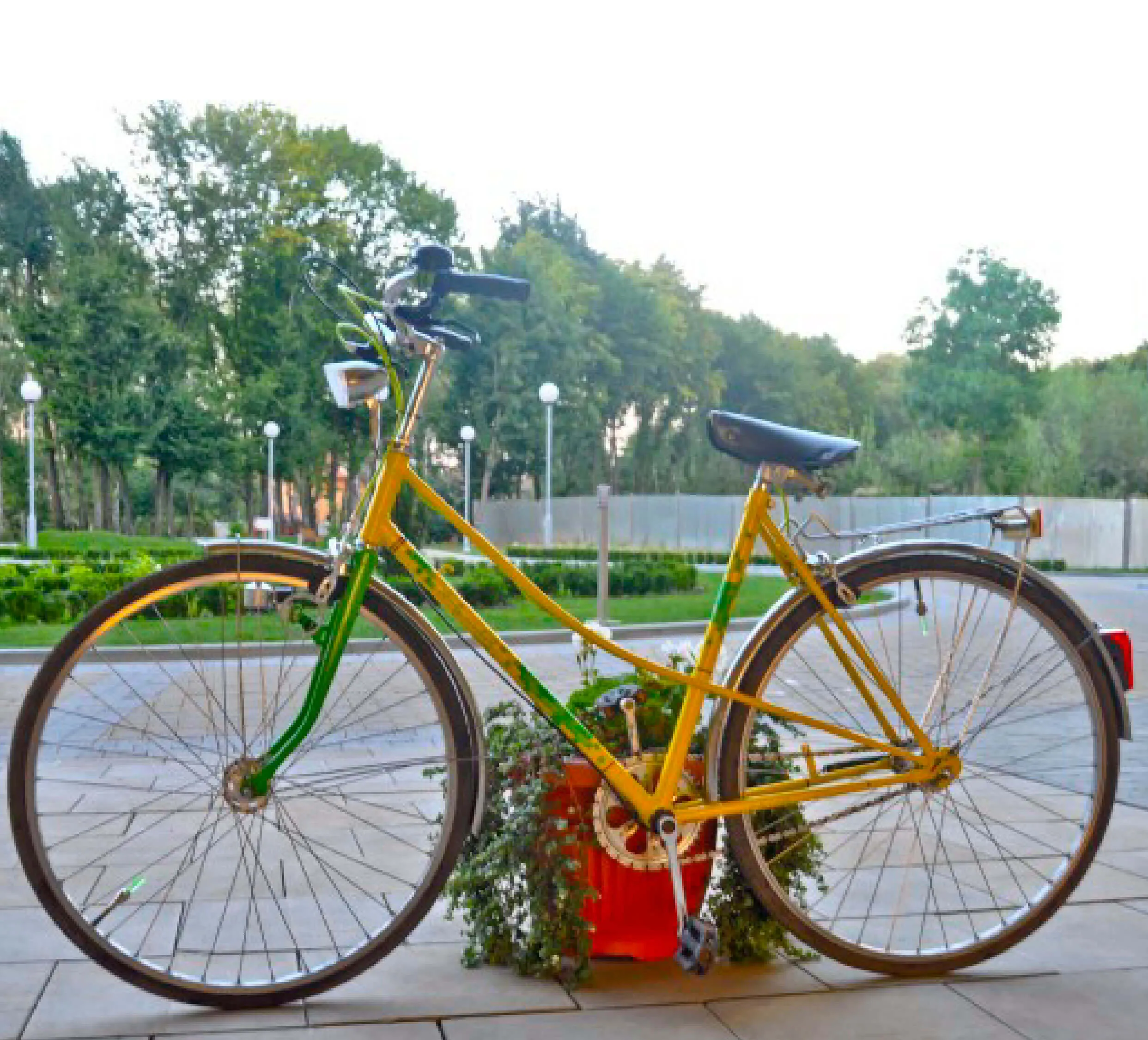 Bike: Warhol