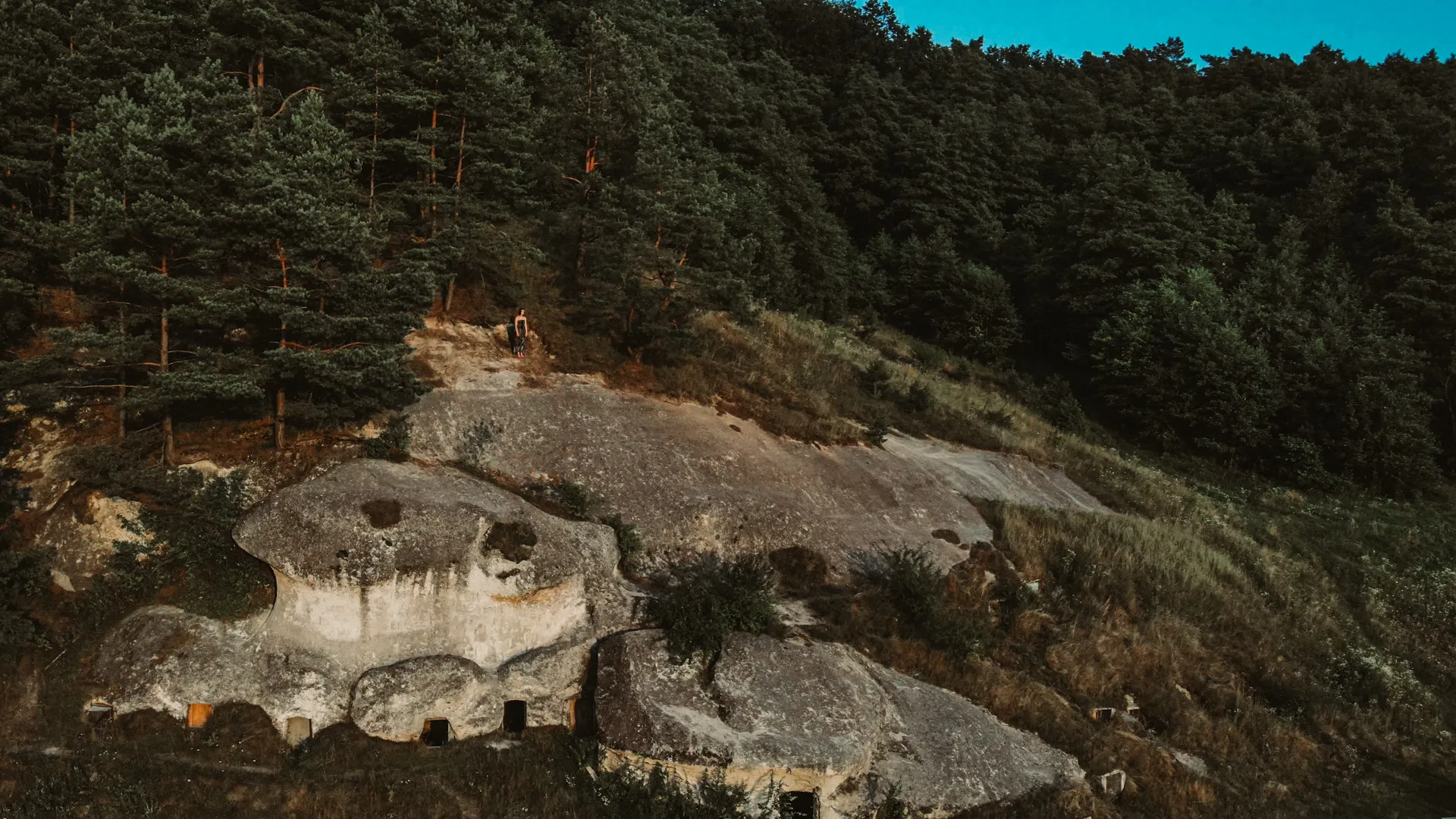 Habitat