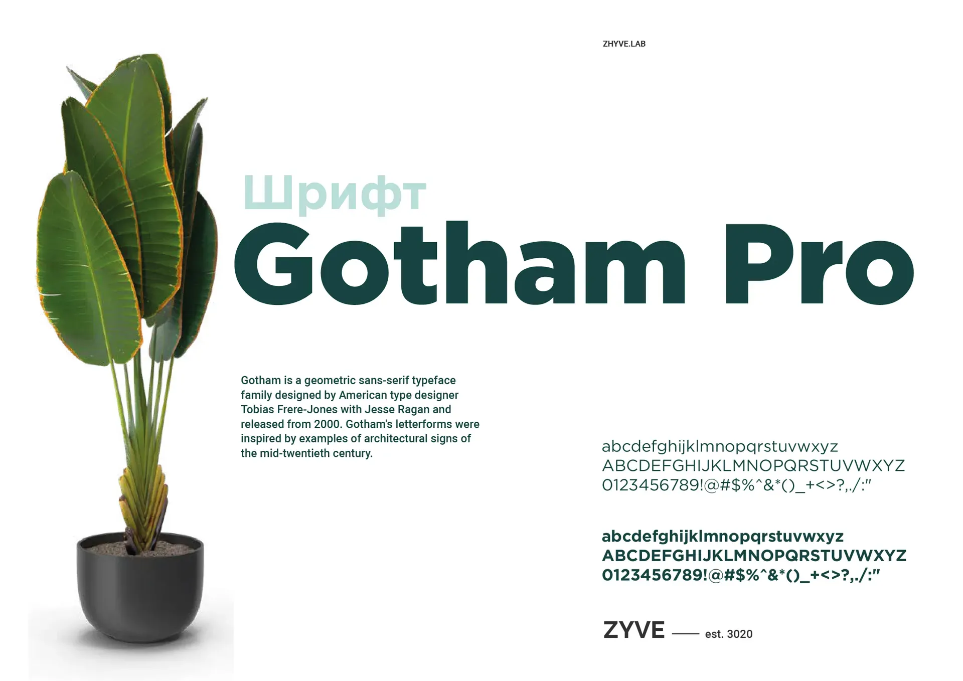 ZYVE Botanical Lab