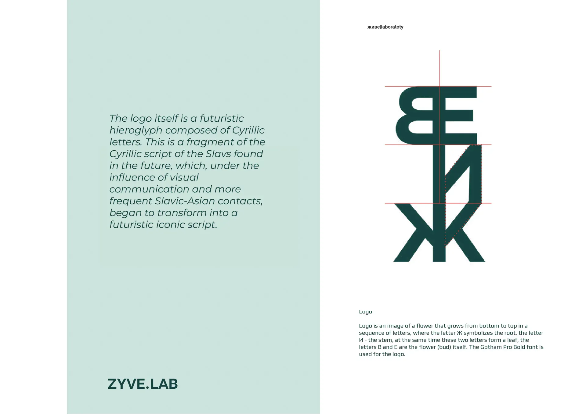 ZYVE Botanical Lab